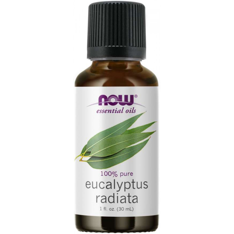 Essential Oils Eucalyptus Radiata 30 ml