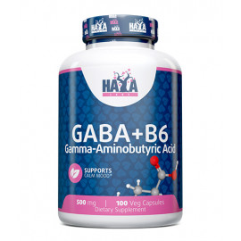 GABA   B-6 - 500 mg  100 VCaps 