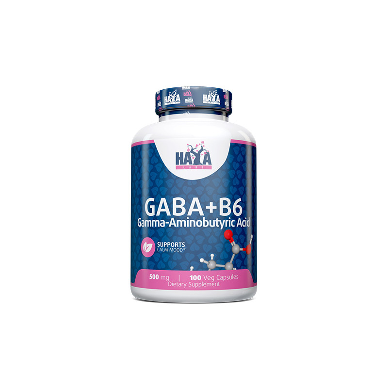 GABA   B-6 - 500 mg  100 VCaps 