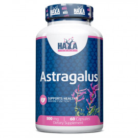 Astragalus 500 mg  - 60 Caps 