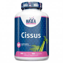 Cissus 500 mg 100 Caps