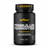 Tribulus Terrestris 90 Caps