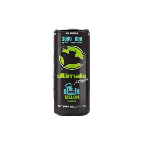 Power Bcaa Melon 500 Ml