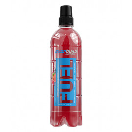 Vitargo Fuel RTD 12 x 500 ml