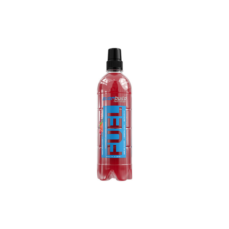 Vitargo Fuel RTD 12 x 500 ml