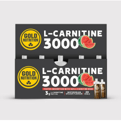 L-Carnitine 3000 mg 20 unidosis SANDIA