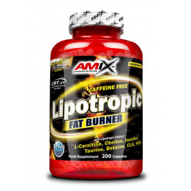 Lipotropic Fat Burner 200 Caps